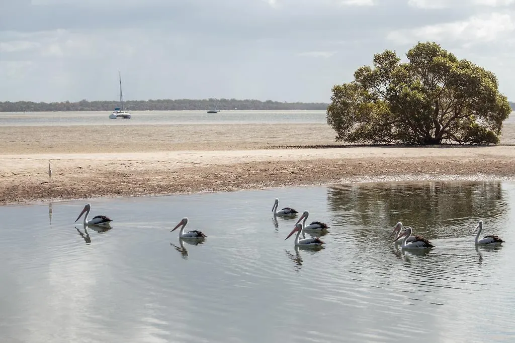 Big4 Breeze Holiday Parks - Rainbow Beach